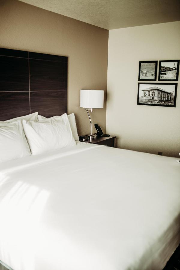 Cobblestone Hotel & Suites International Falls Luaran gambar
